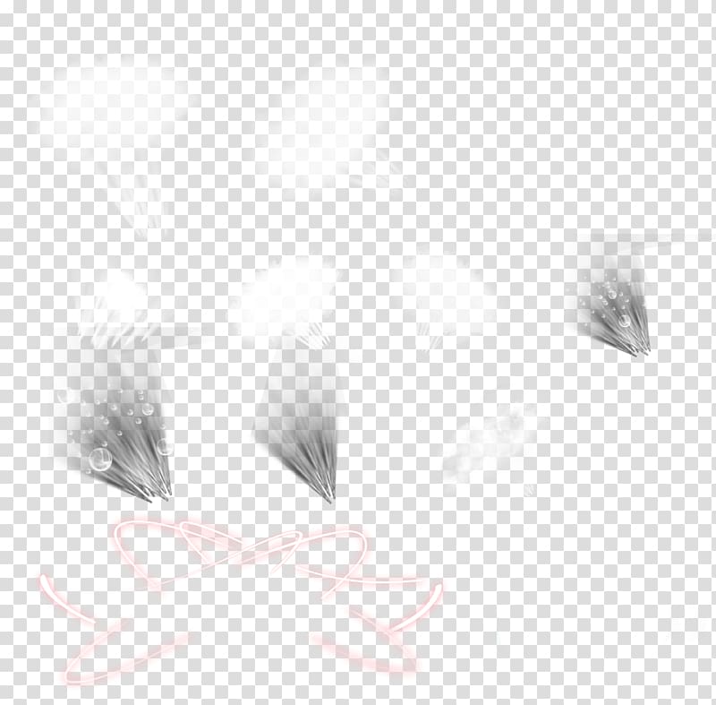 Black and white Software Designer, Black simple light effect element transparent background PNG clipart