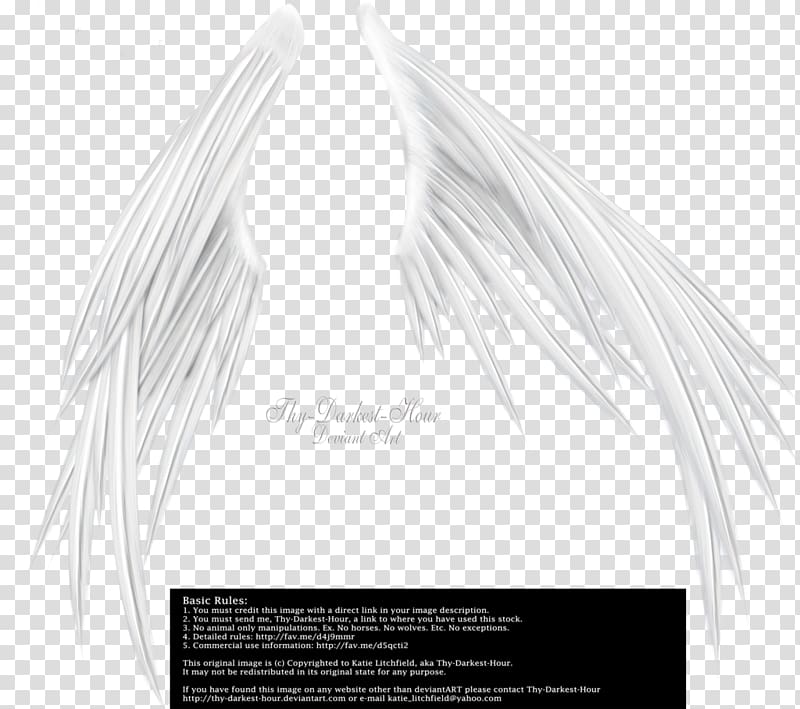 , white angel wings transparent background PNG clipart