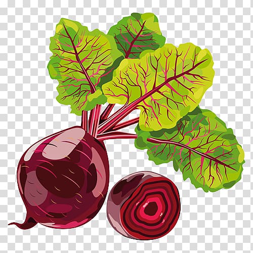 Sugar beet Beetroot , onion transparent background PNG clipart