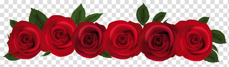 Rose Red , Red Roses , seven red rose flowers illustration transparent background PNG clipart