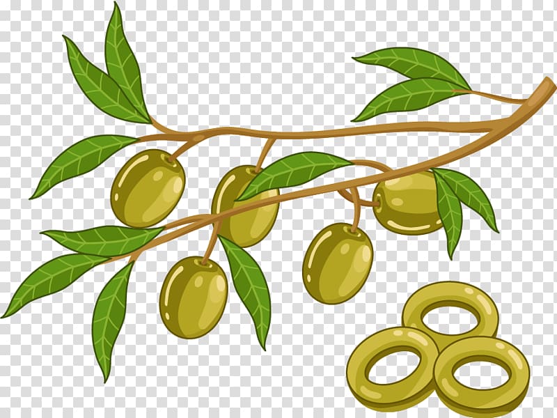 Rutabaga, Cartoon plant olive olive oil transparent background PNG clipart