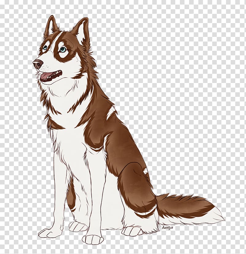 Siberian Husky Seppala siberian sleddog Sakhalin Husky Saarloos wolfdog Dog breed, husky transparent background PNG clipart