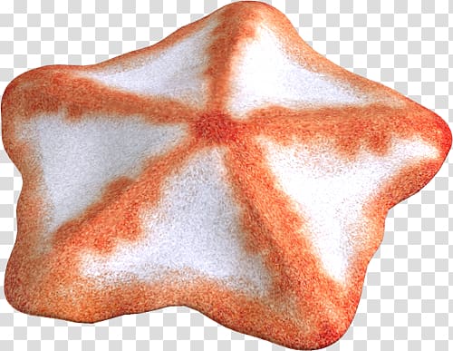 Starfish transparent background PNG clipart