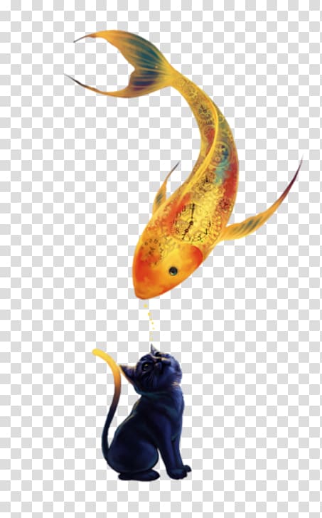 Cat Common carp , Cat transparent background PNG clipart