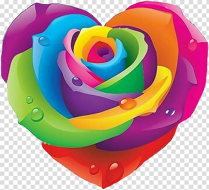 Artist Rainbow rose , rose transparent background PNG clipart
