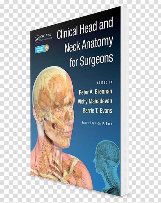 Neuroanatomy Through Clinical Cases Head and neck anatomy Surgery Human body, Head and neck transparent background PNG clipart