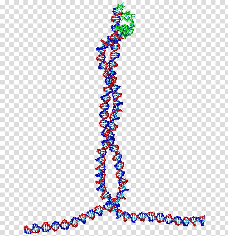 DNA Bead Nucleic acid double helix Drug delivery Capsule, tetrahedral opening transparent background PNG clipart