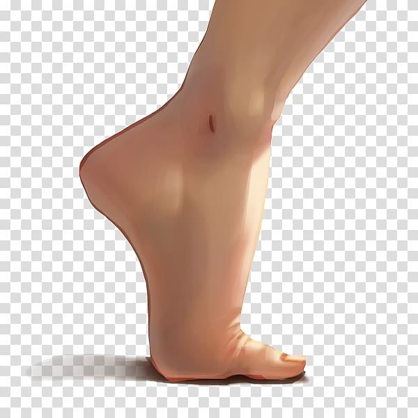 Thigh Ankle Orthopedic surgery Foot Wakefield Orthopaedic Clinic, others transparent background PNG clipart