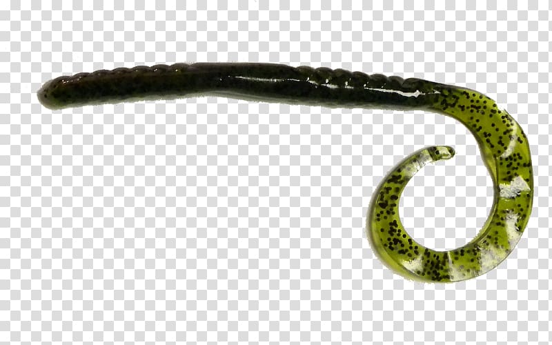 Worm Fishing Baits & Lures Soft plastic bait Douglas DC-4 Douglas DC-5, Marine Worm transparent background PNG clipart