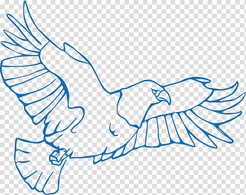 Bird Drawing Illustration, Hand-painted flying eagle transparent background PNG clipart