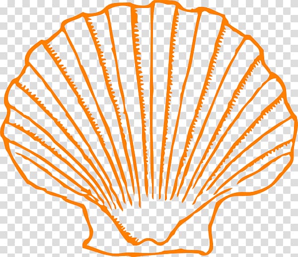 Seashell Mollusc shell Open, seashell transparent background PNG clipart