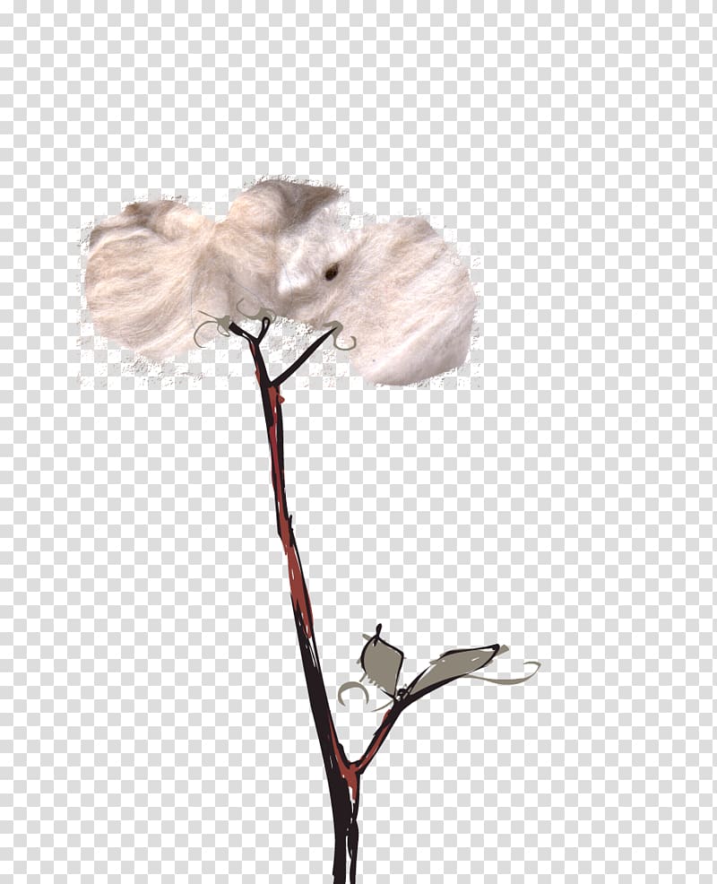 Petal Cut flowers Flowering plant, Cotton Plant transparent background PNG clipart