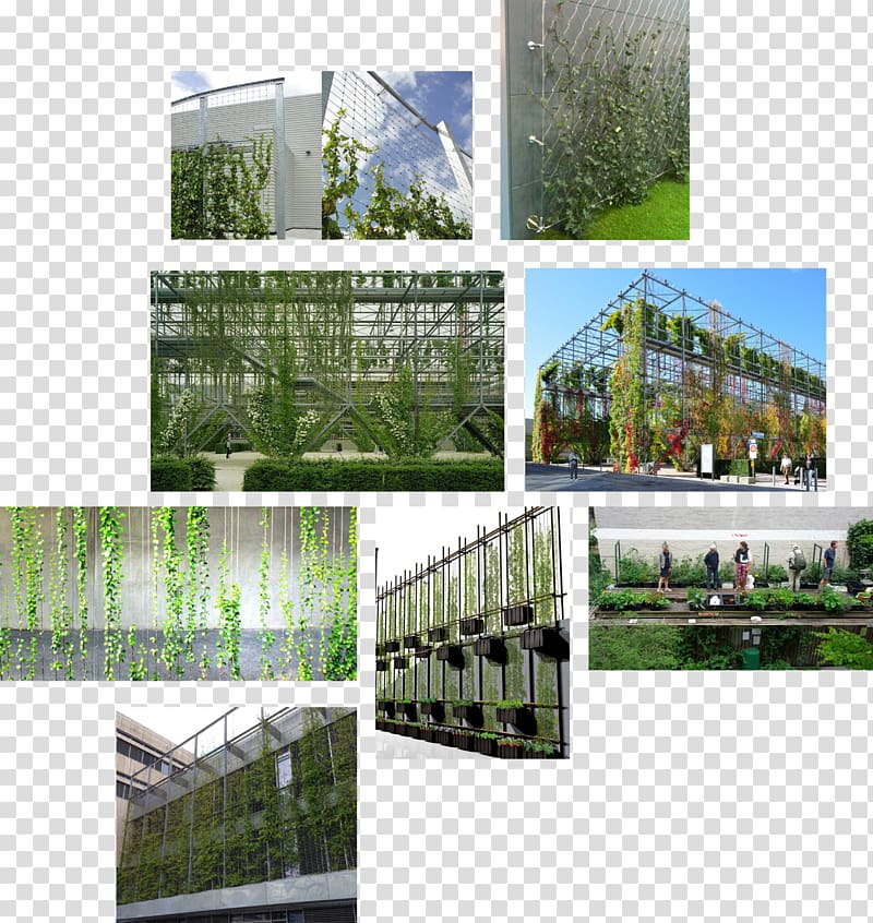 MFO-Park Tree Urban design Zurich Facade, tree transparent background PNG clipart