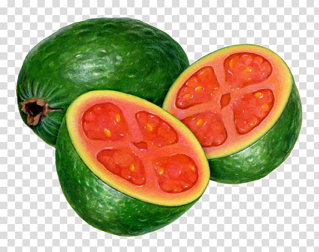 Watermelon Guava Fruit Avocado Tomato, Tomatoes, avocado creative fruit transparent background PNG clipart