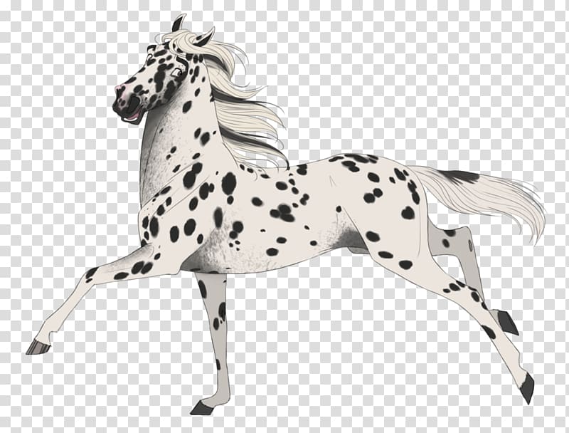 Appaloosa Mustang Drawing, digital markings transparent background PNG clipart