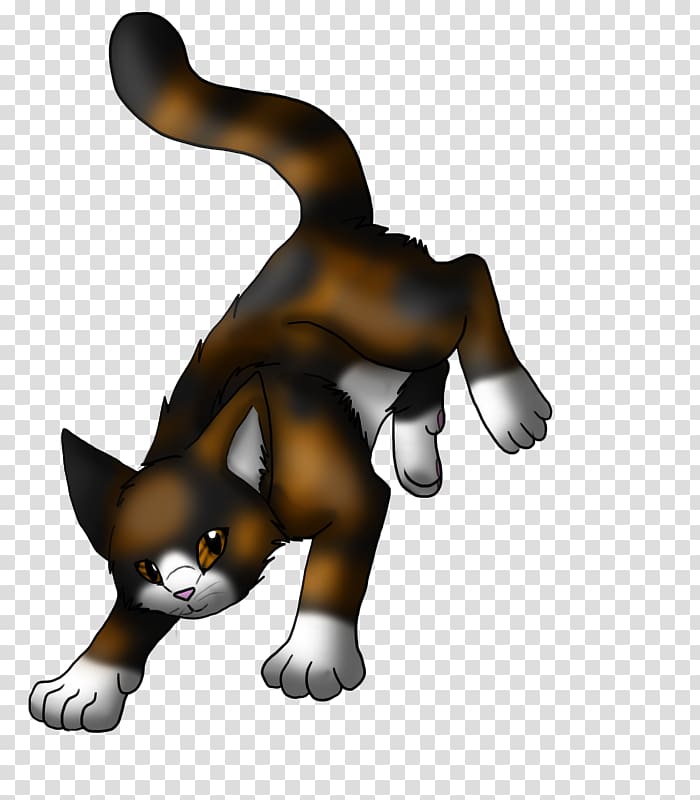 Whiskers Kitten Dog Cat Spottedleaf, kitten transparent background PNG clipart