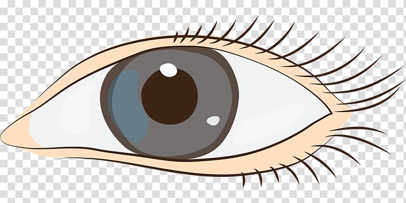 Eye , others transparent background PNG clipart