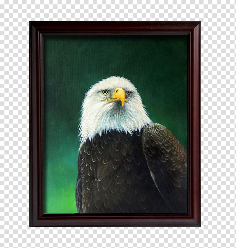 Bald Eagle Painting, American Golden Eagle Decorative Painting transparent background PNG clipart