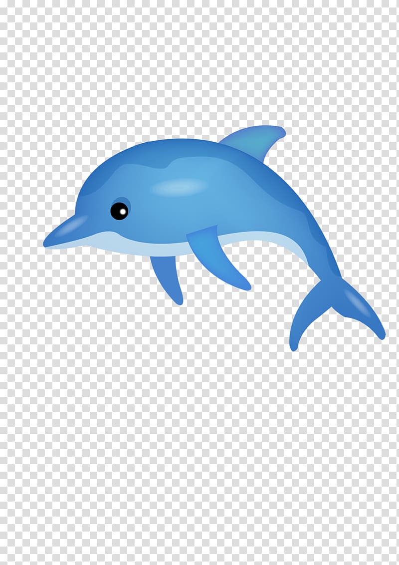 Common bottlenose dolphin Tucuxi Short-beaked common dolphin, Cartoon dolphin transparent background PNG clipart