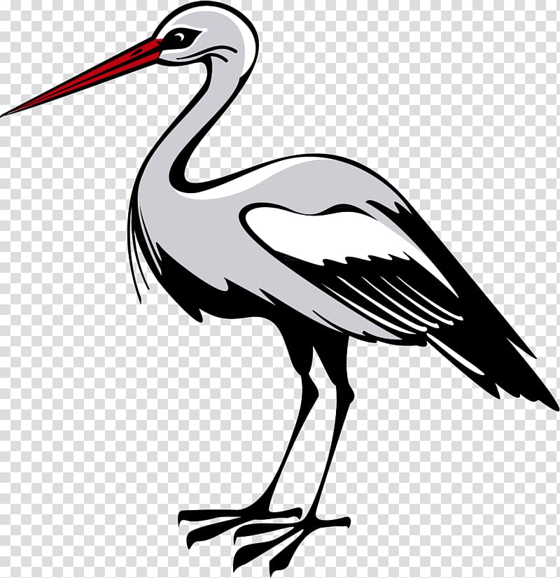 Stork transparent background PNG clipart