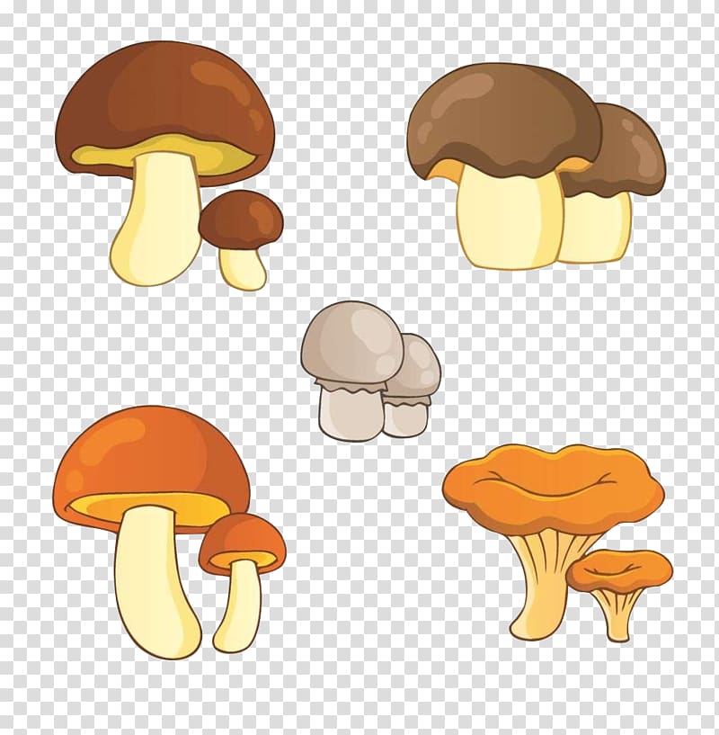 Edible mushroom Illustration, Mushroom Collection transparent background PNG clipart