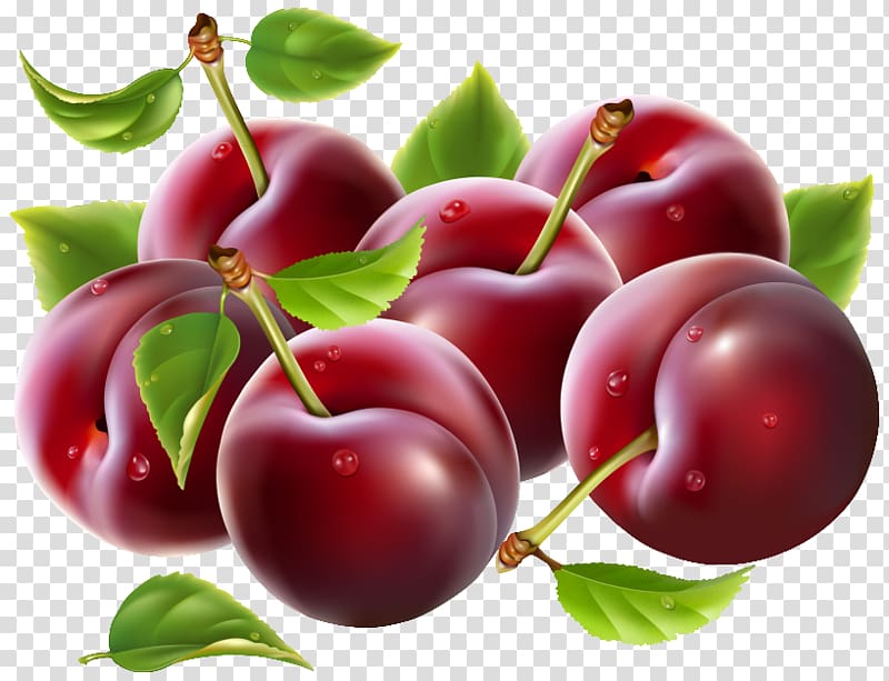 round red fruit illustration, Cherry Fruit , Prunes transparent background PNG clipart