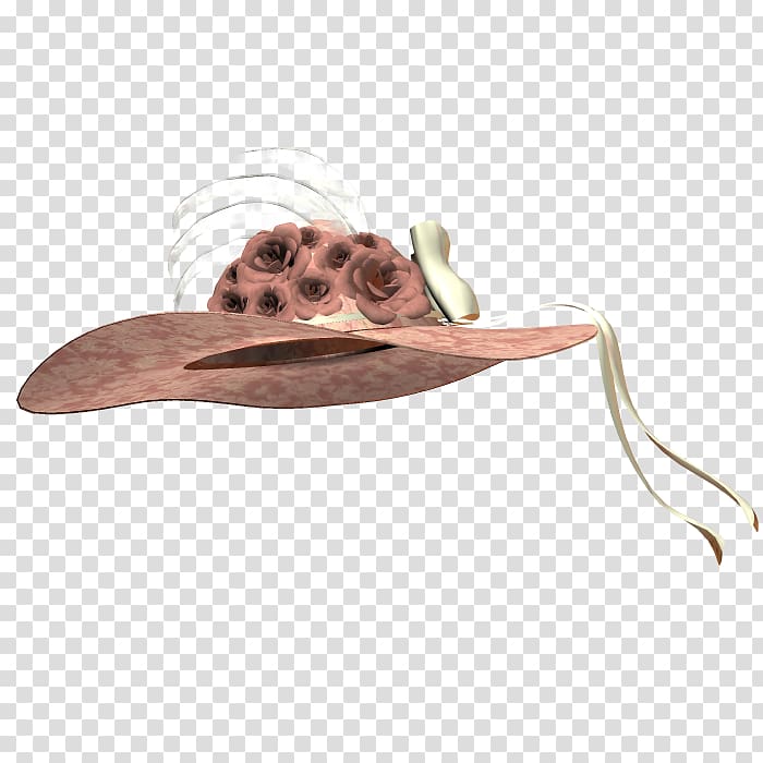 Hat, gorro transparent background PNG clipart