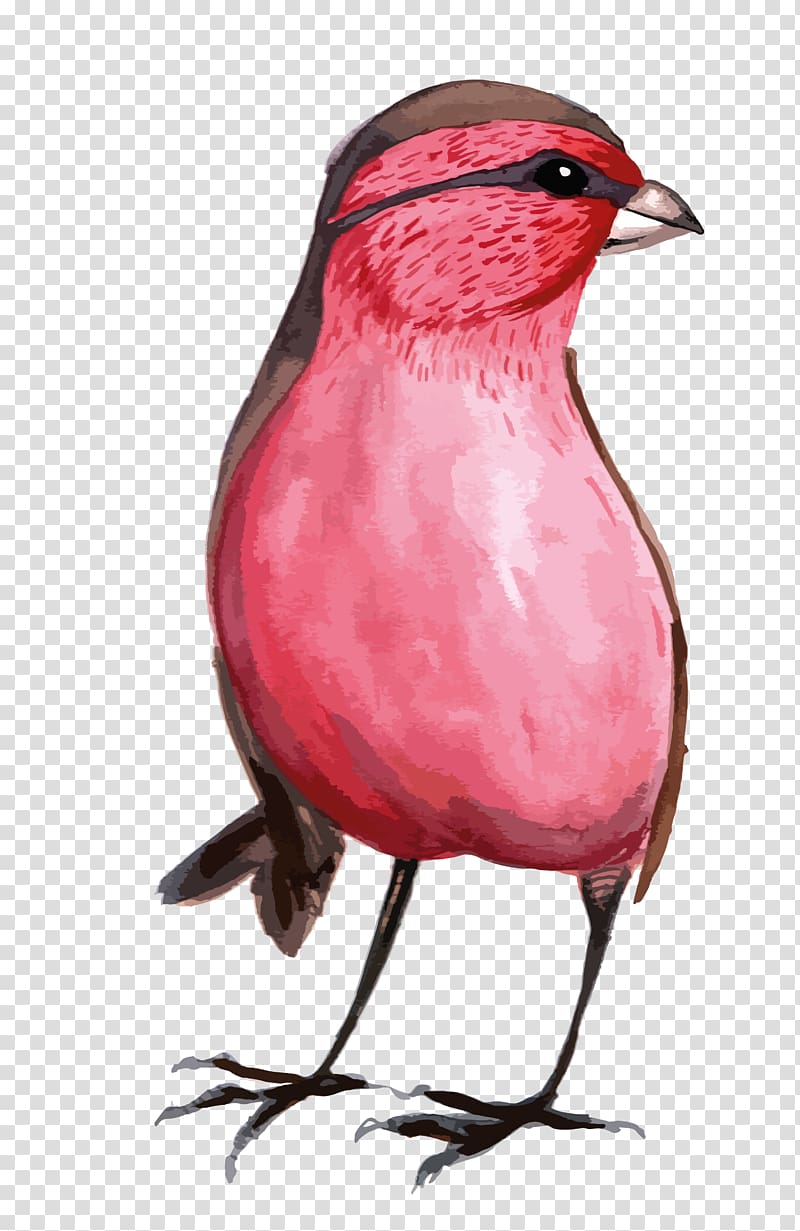 Bird Watercolor painting Illustration, Chinese painting Bird transparent background PNG clipart