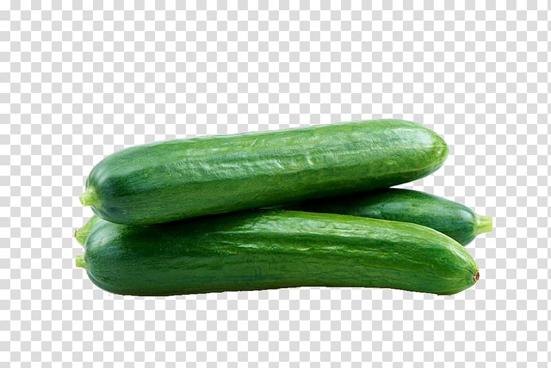 Cucumber Juice Spreewald gherkins Vegetable Melon, Cucumber transparent background PNG clipart