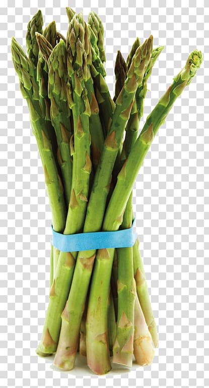 Bunch of Asparagus Sutcliffe Farms Vegetarian cuisine, asparagus transparent background PNG clipart