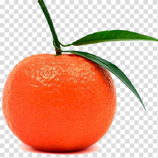 Tangerine Mandarin orange Balsamic vinegar Fruit, orange transparent background PNG clipart