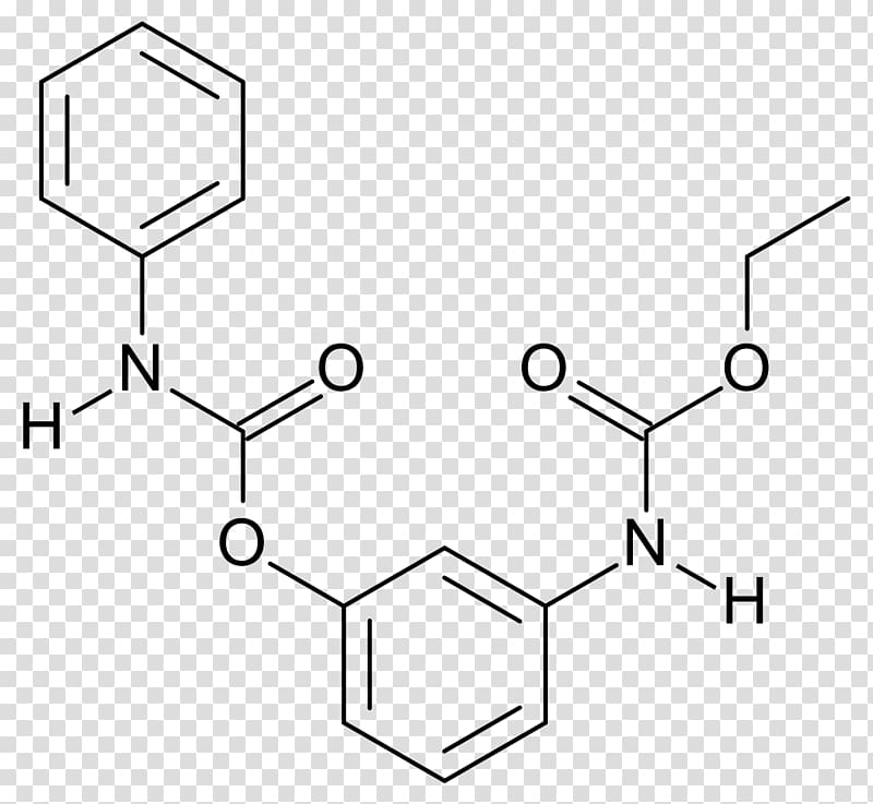 Enobosarm Selective androgen receptor modulator N-Phenylacetyl-L-prolylglycine ethyl ester Nootropic Brifentanil, others transparent background PNG clipart