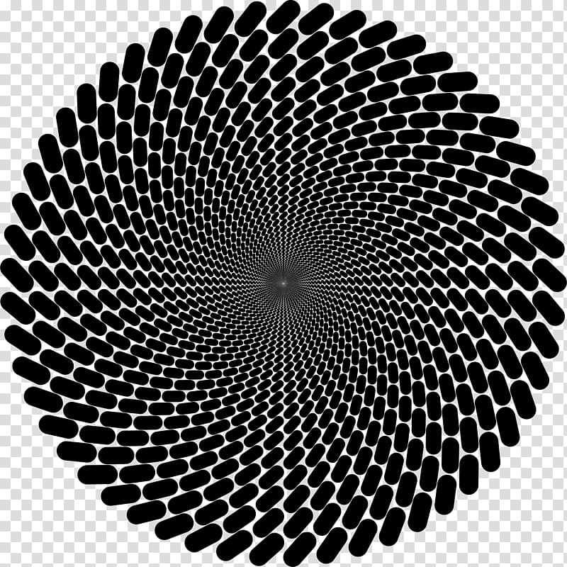 Fraser spiral illusion Circle Rotation Concentric objects, circle transparent background PNG clipart