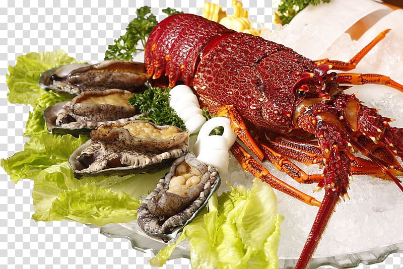 Lobster Seafood Palinurus elephas Shrimp, lobster transparent background PNG clipart