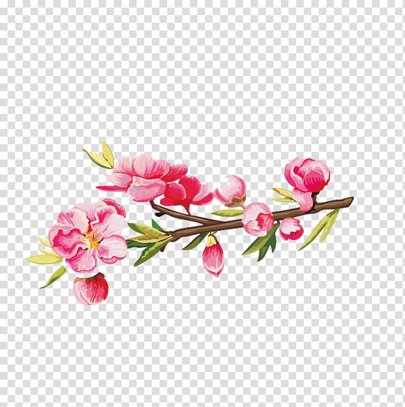 Flower Euclidean , Plum flower transparent background PNG clipart