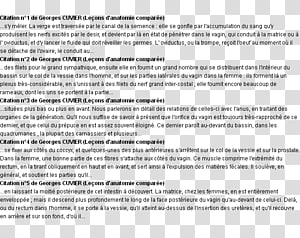 Document Line, line transparent background PNG clipart thumbnail