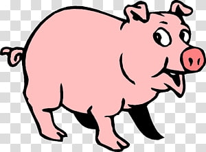 Cochon Transparent Background Png Cliparts Free Download Hiclipart