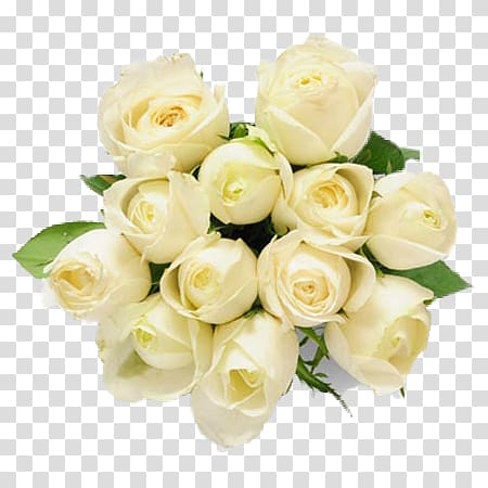 Flower bouquet Rose White Gift, rose transparent background PNG clipart