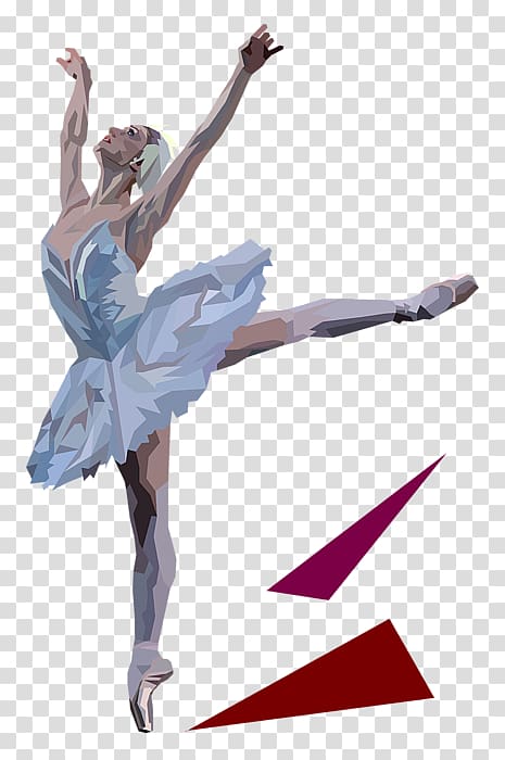 Ballet Choreographer Tutu Dance Choreography, swan dance transparent background PNG clipart