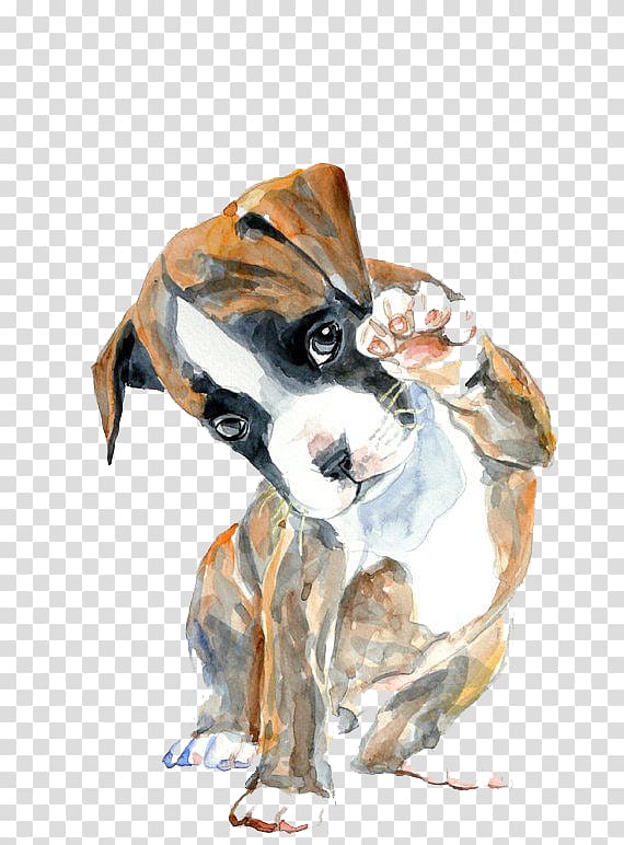 fawn boxer puppy painting, Boxer Watercolor painting Oil painting Drawing, Hello puppy transparent background PNG clipart