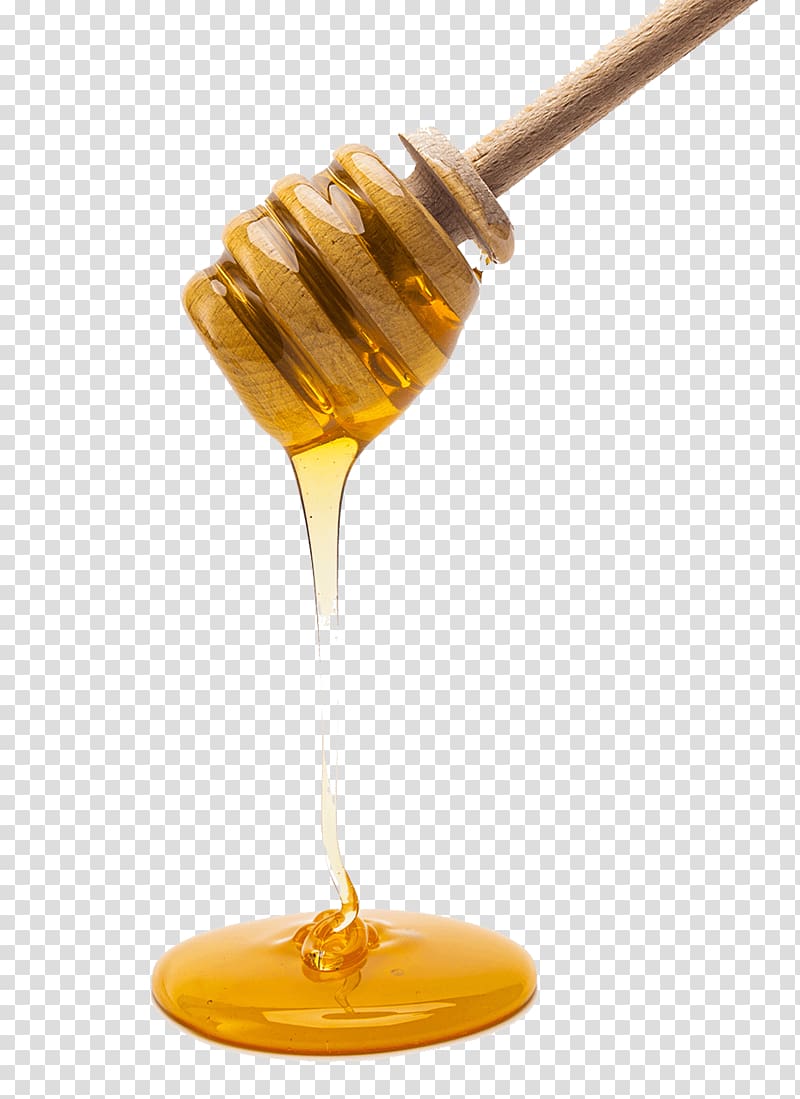 Honey bee Milk Veganism, honey decoration transparent background PNG clipart