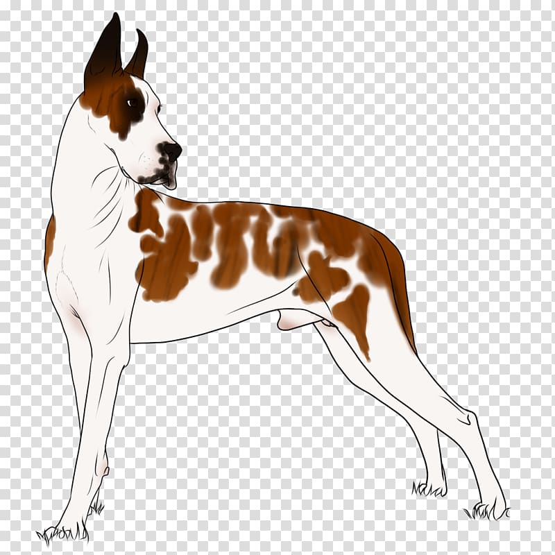 Dog breed English Foxhound Ibizan Hound Companion dog, Horse Lords transparent background PNG clipart
