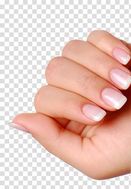 Manicure Nail Polish Hand model, natural nails transparent background PNG clipart