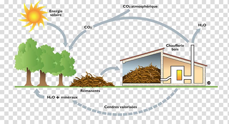 Biomass Energy Firewood Coal, combustion transparent background PNG clipart