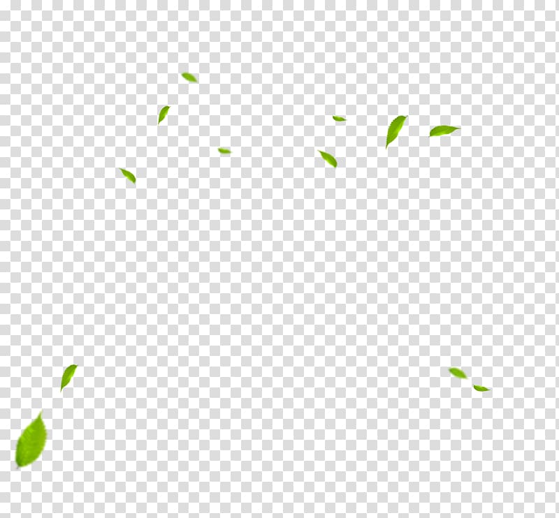 Angle Area Pattern, leaf,Leaves,flower,leaf,Plant modeling transparent background PNG clipart