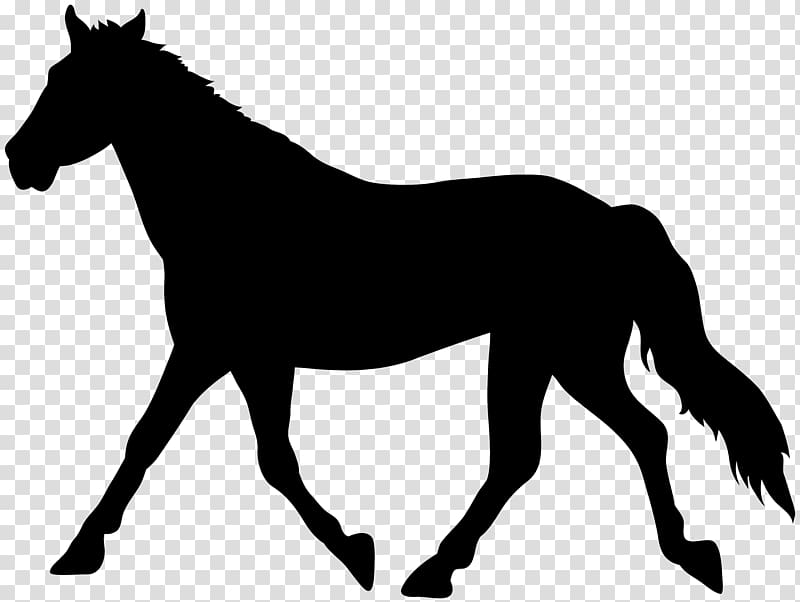 American Paint Horse , Horse Silhouette transparent background PNG clipart