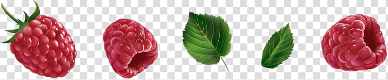 Red raspberry Fruit, Raspberry transparent background PNG clipart