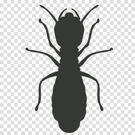 Cockroach Mosquito Pest Control Termite, cockroach transparent background PNG clipart