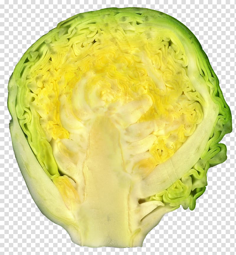 Brussels sprout Leaf vegetable Cabbage Food, brocoli transparent background PNG clipart