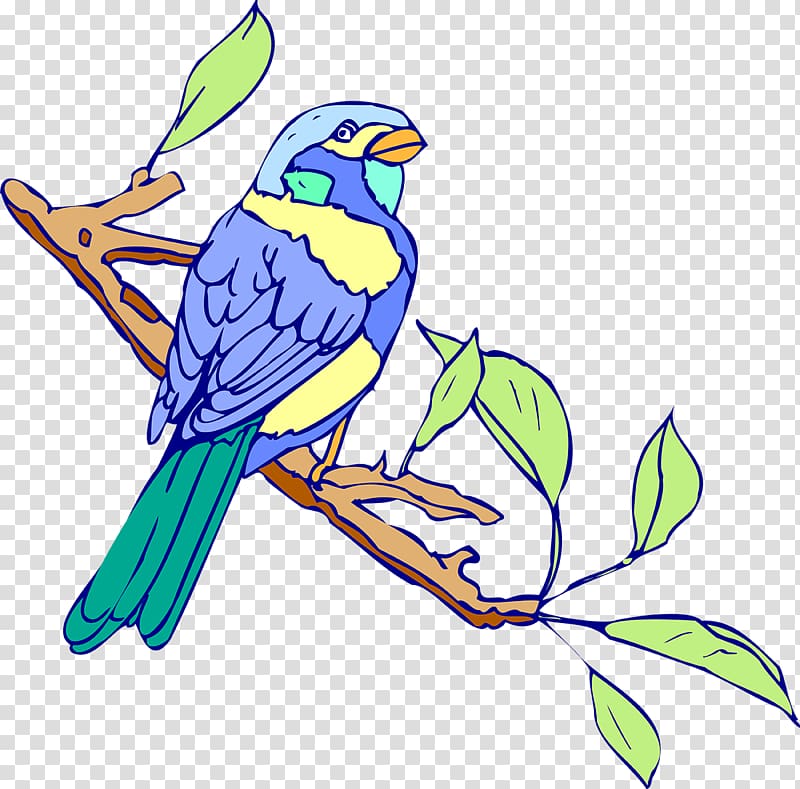 Bird Australasian swamphen Macaw , birds transparent background PNG clipart